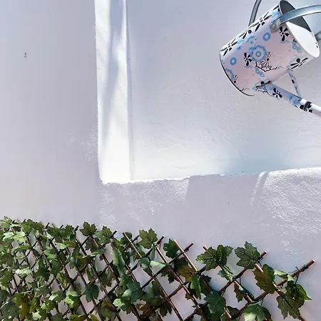 Wallada Lucano * Córdoba